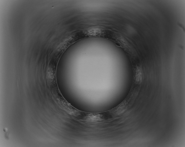 X0000102030569200807181352