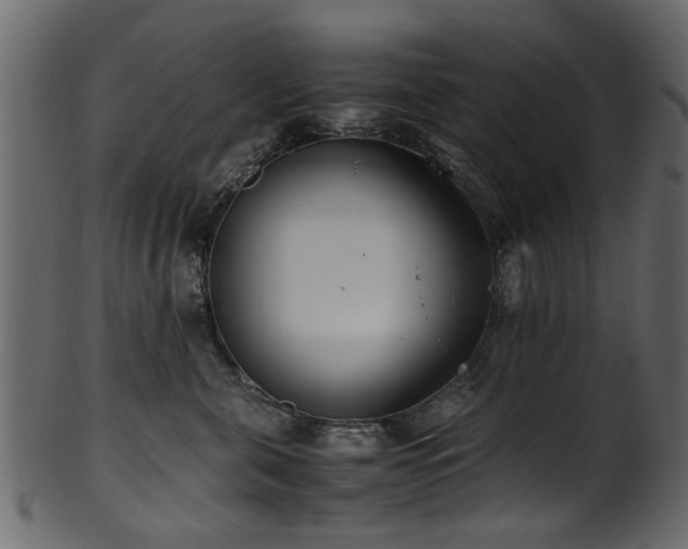 X0000102030571200807181352