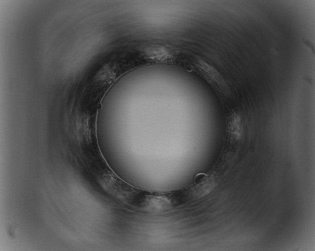 X0000102030572200807181353