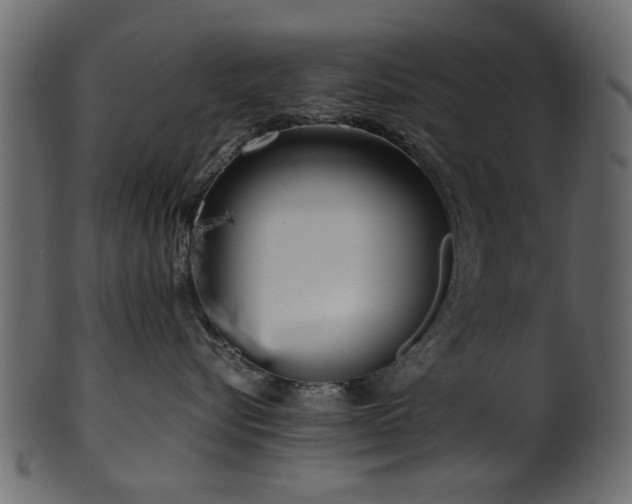 X0000102030576200807181353