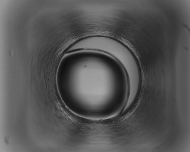 X0000102030577200807181352