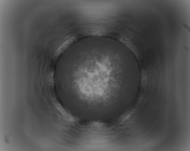 X0000102030585200807181352