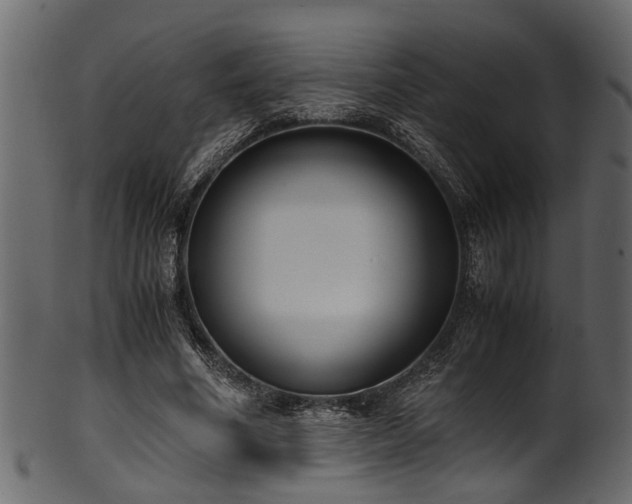 X0000102030586200807181352