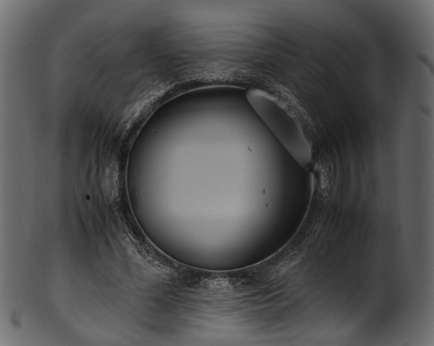 X0000102030588200807181352