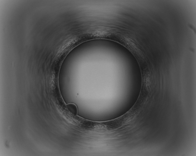 X0000102030591200807181352