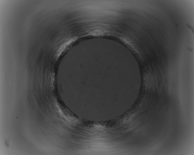 X0000102030592200807181352