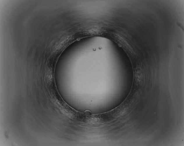 X0000102030593200807181352