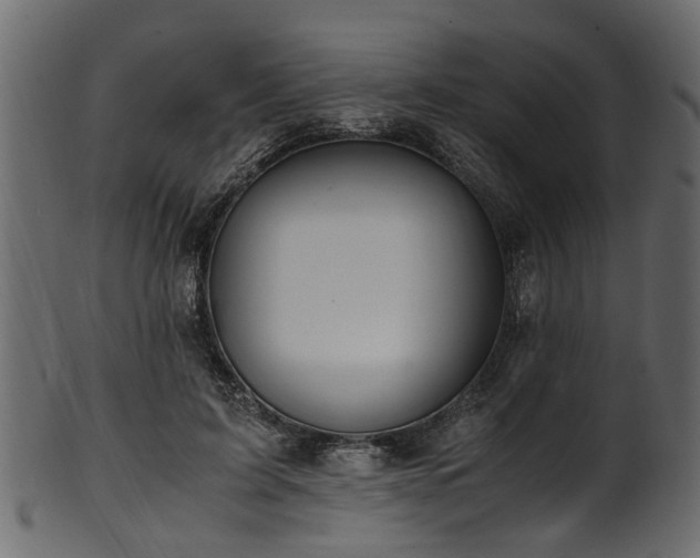 X0000102030595200807181352