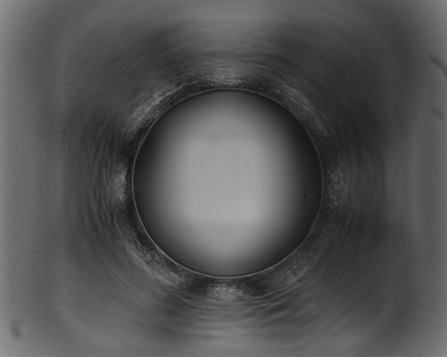 X0000102030596200807181352