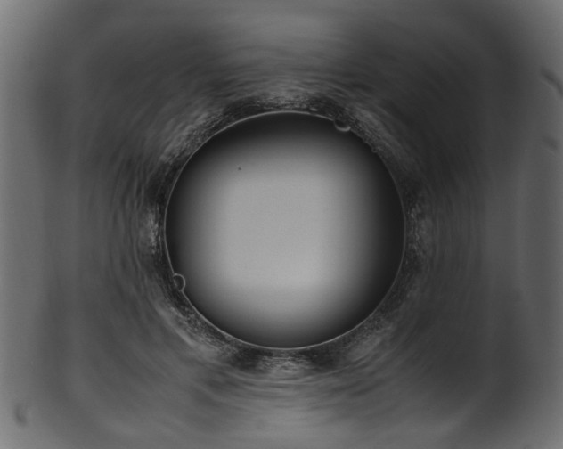 X0000102030597200807181352