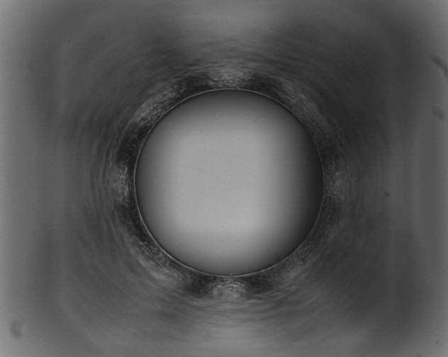 X0000102030599200807181352