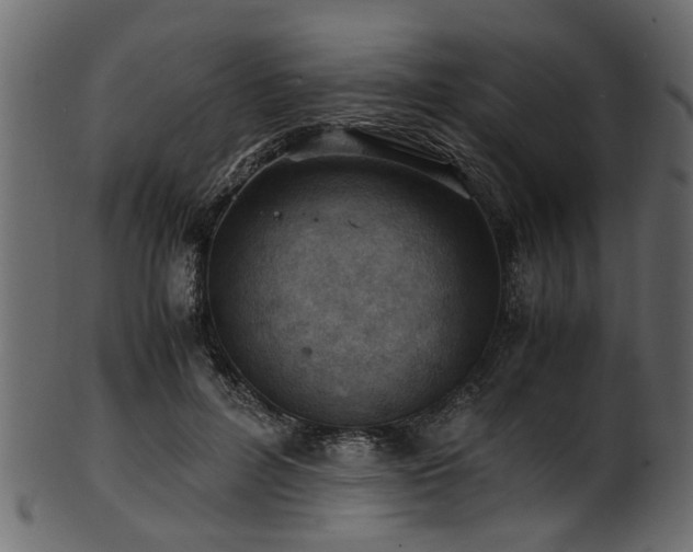 X0000102030600200807181352