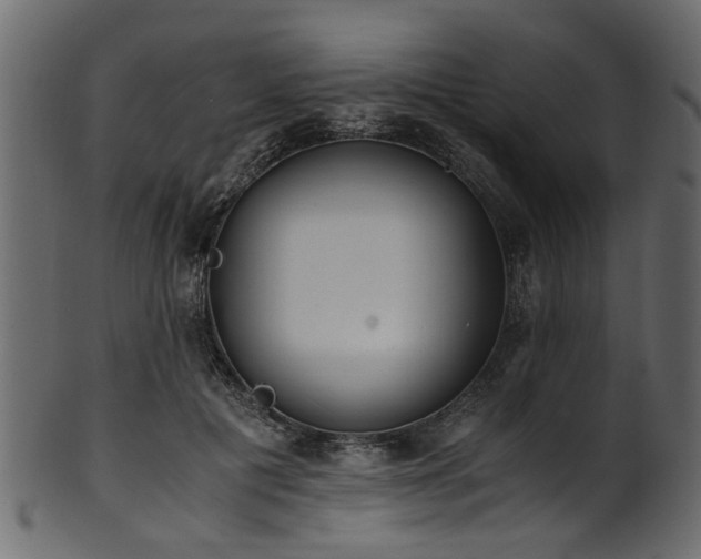 X0000102030601200807181352