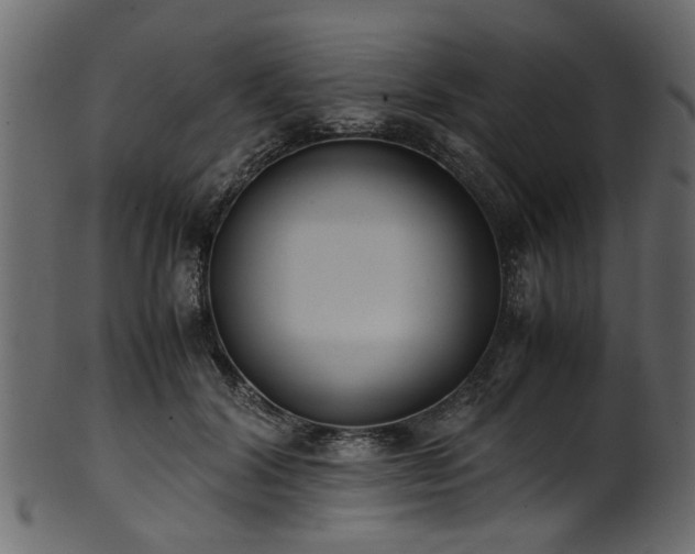 X0000102030604200807181351