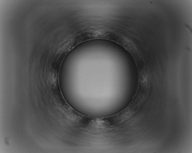 X0000102030607200807181351