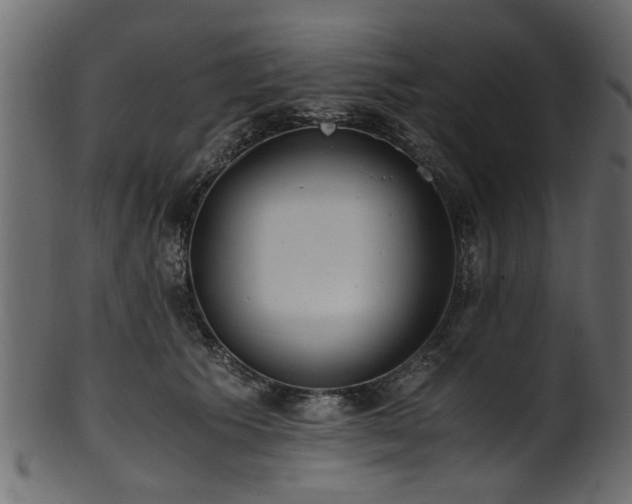 X0000102030609200807181351