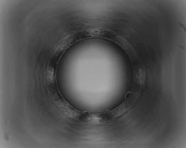 X0000102030610200807181351