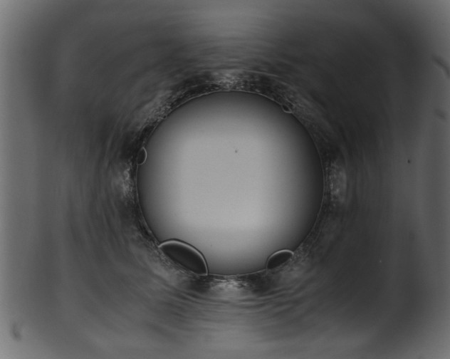 X0000102030611200807181351