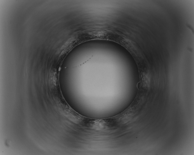 X0000102030612200807181351