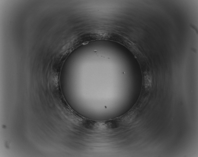 X0000102030613200807181351