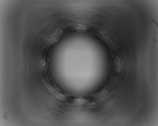 X0000102030614200807181351