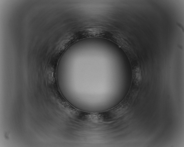 X0000102030615200807181351