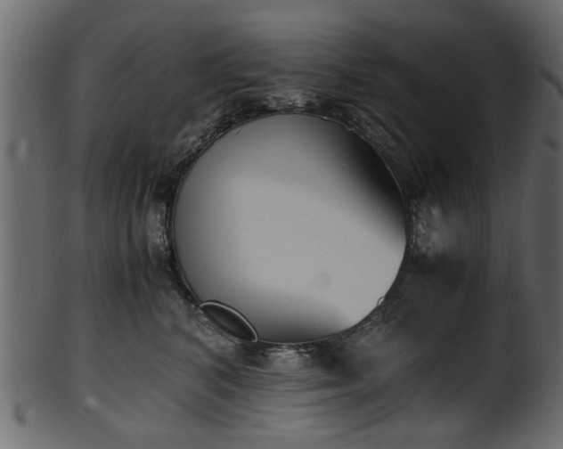 X0000102030616200807181351