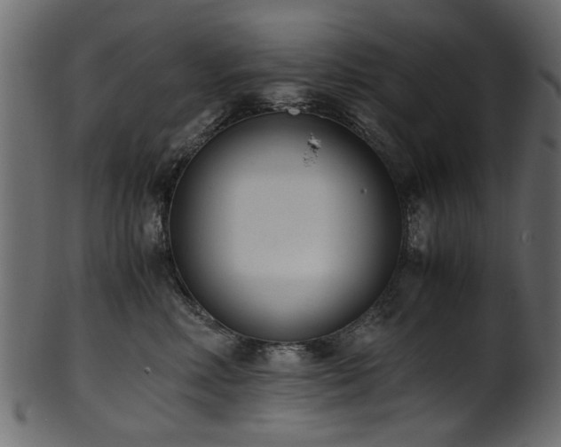 X0000102030618200807181351