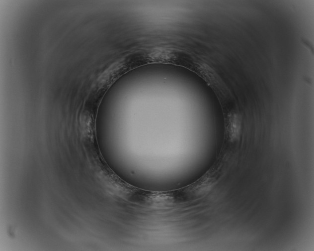 X0000102030619200807181351