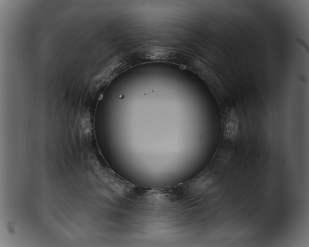 X0000102030620200807181351