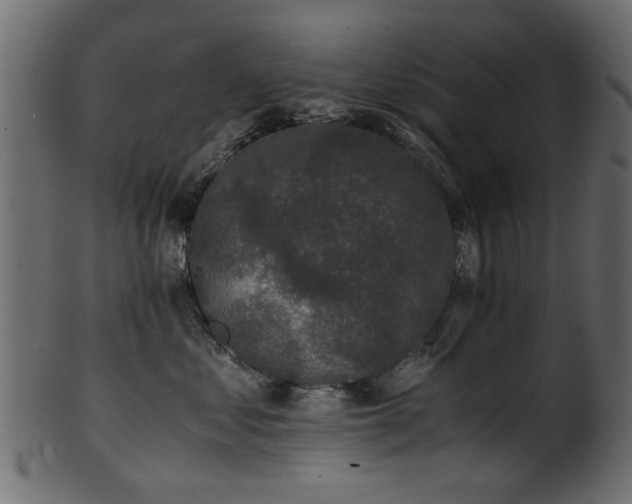 X0000102030621200807181351