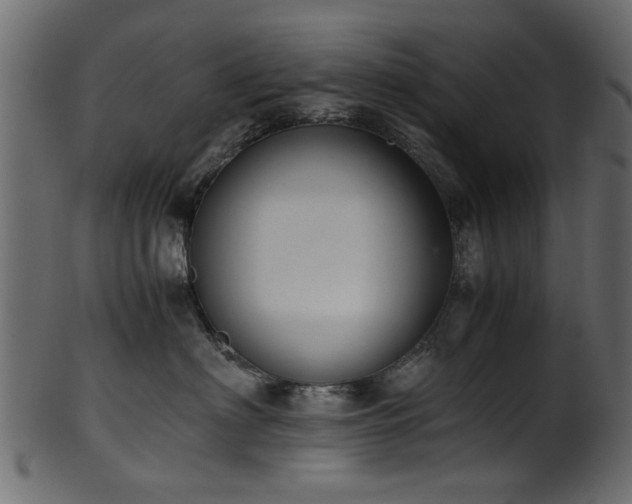 X0000102030622200807181351