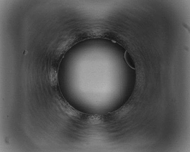 X0000102030624200807181351