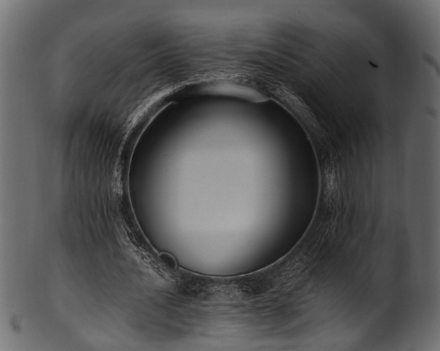 X0000102030628200807181351