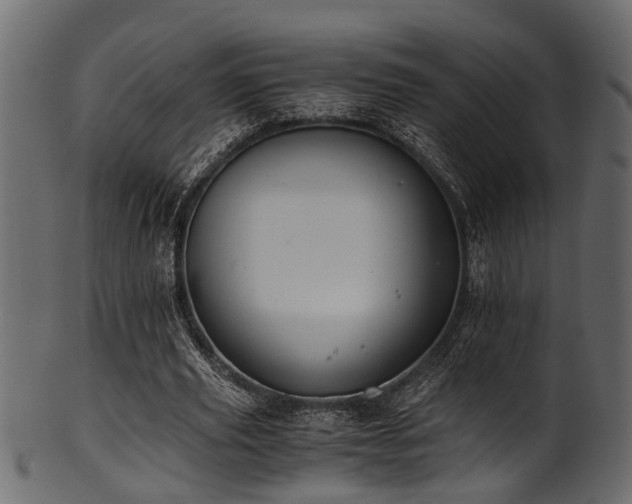 X0000102030629200807181351