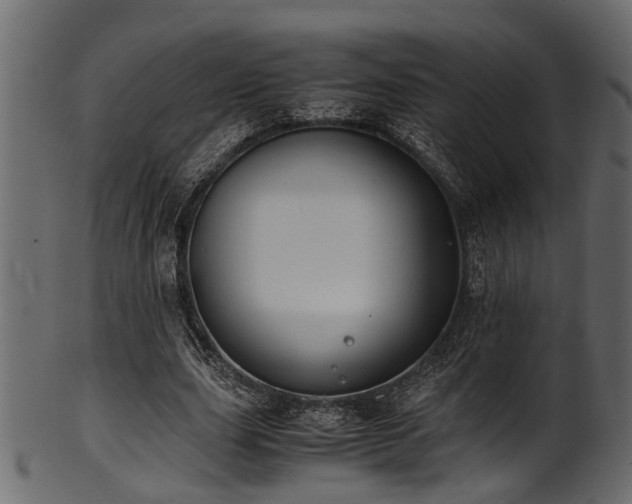 X0000102030631200807181351