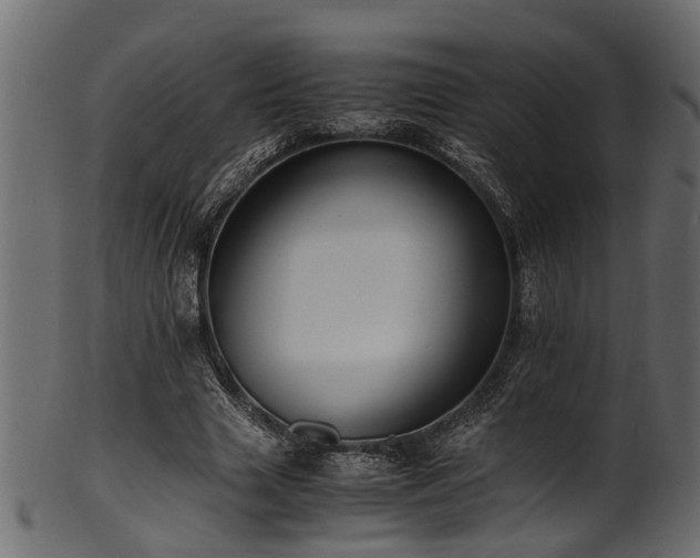 X0000102030633200807181351