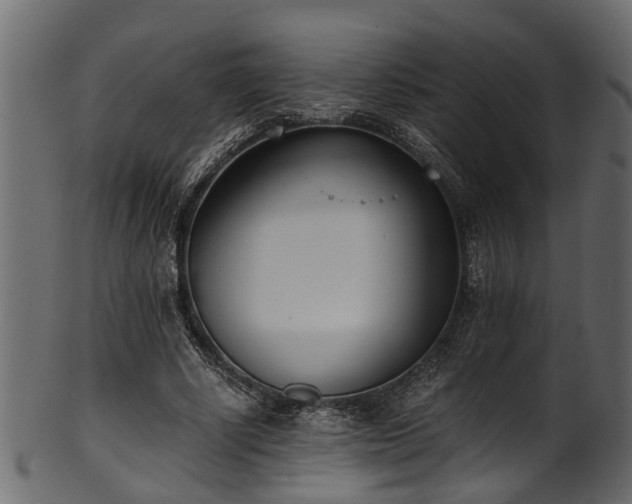 X0000102030634200807181351