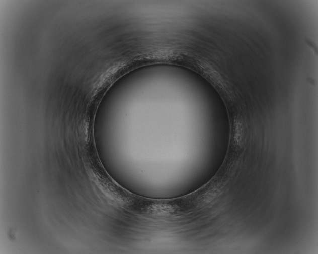 X0000102030636200807181351