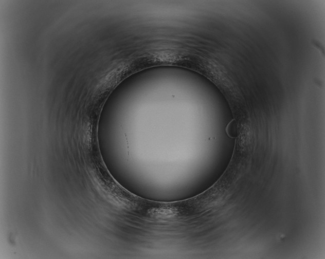 X0000102030639200807181351