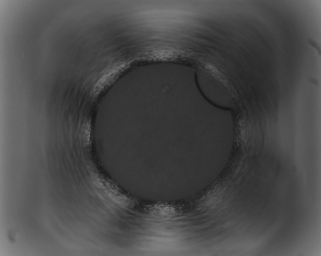 X0000102030640200807181351