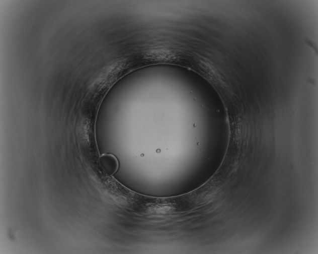 X0000102030643200807181351