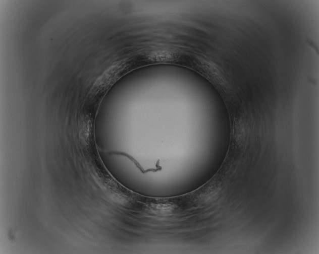 X0000102030645200807181351