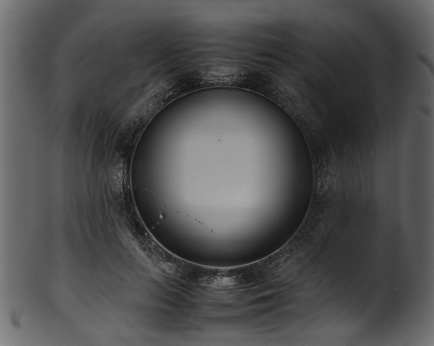 X0000102030647200807181351