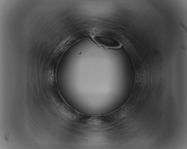 X0000102030648200807181351