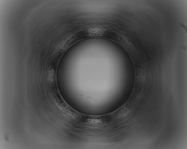 X0000102030649200807181351