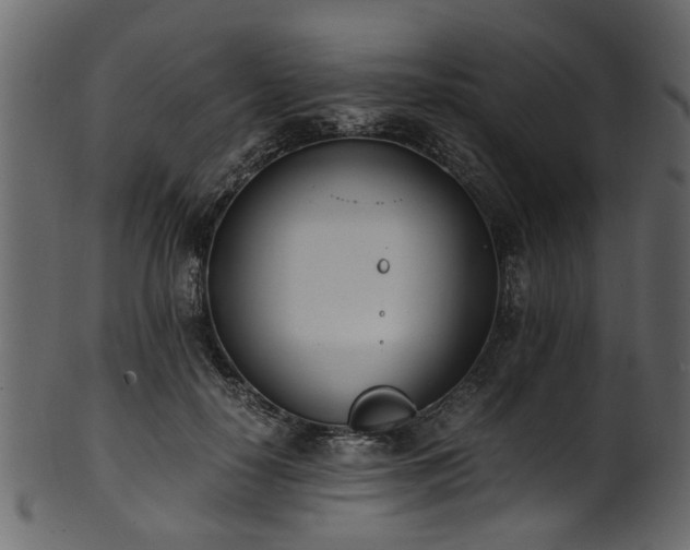 X0000102030650200807181351