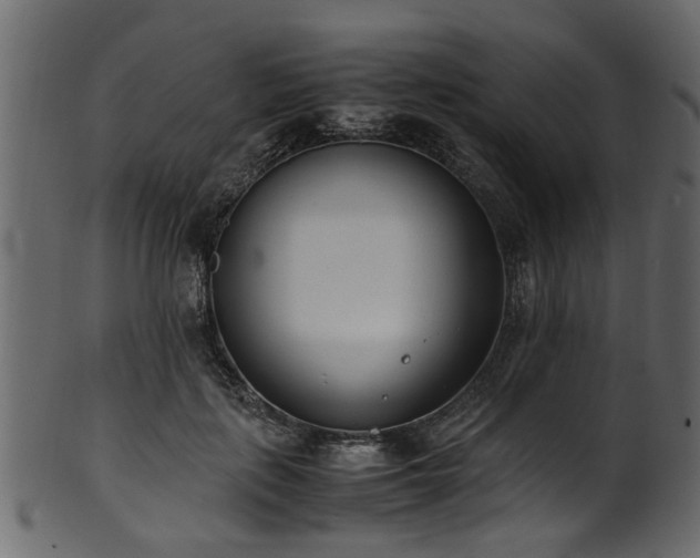 X0000102030651200807181351