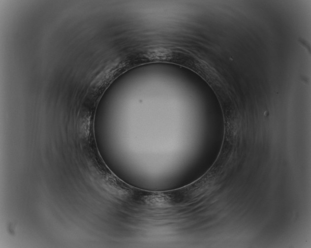 X0000102030652200807181351