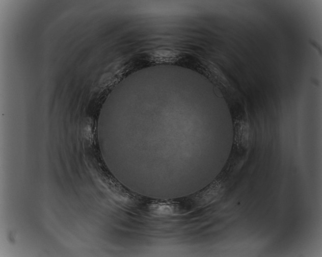 X0000102030655200807181351